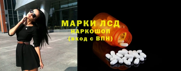 молекула духа Медвежьегорск