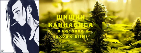 дмт Медногорск