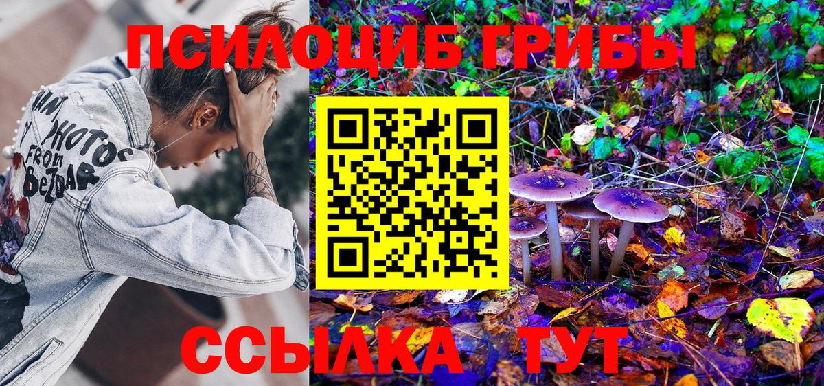 Галлюциногенные грибы GOLDEN TEACHER Подольск