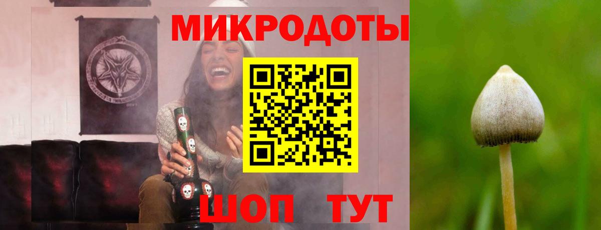 Галлюциногенные грибы Psilocybine cubensis  Псилоцибиновые грибы GOLDEN TEACHER  закладки  Подольск  Вход с VPN 